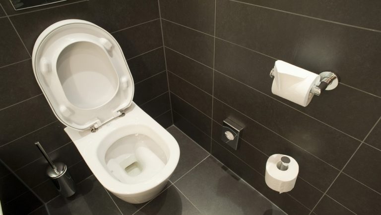 Many HGV and bus drivers deprived of access to toilet facilities